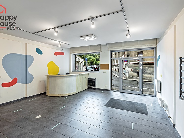 Pronájem komerčního prostoru, 411 m² (3 z 44)
