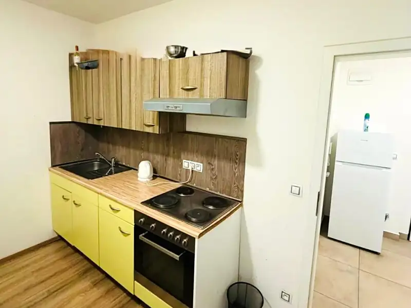 Prodej bytu 2+1 48 m², Plzeň – náhled fotky 2