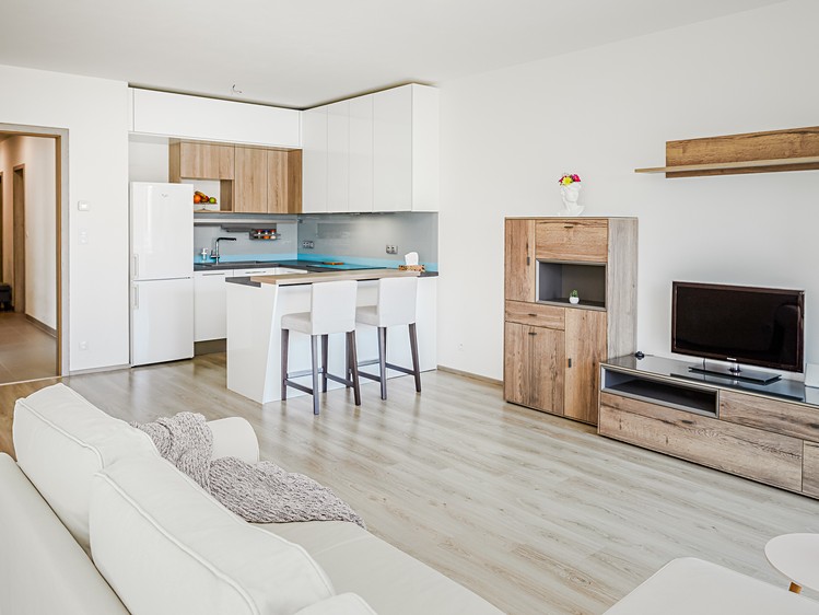 Wohnung 3+kk zur Miete, 103 m² (4 von 13)