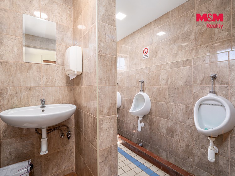 Будинок на продаж, 300 м² (9 з 30)