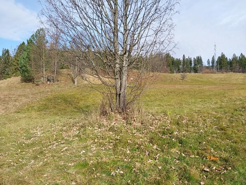 Prodej stavebního pozemku 110 m²