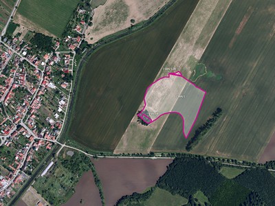 Prodej  pole 18 563 m²
