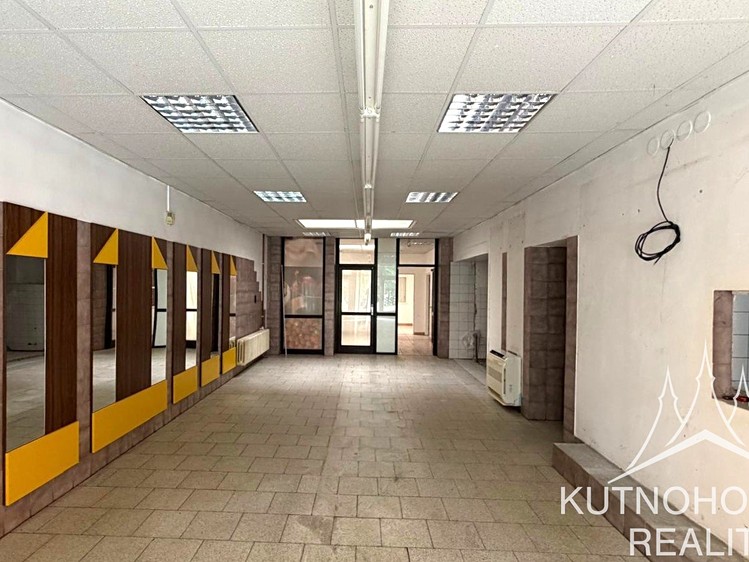 Gewerbefläche zur Miete, 262 m² (4 von 20)
