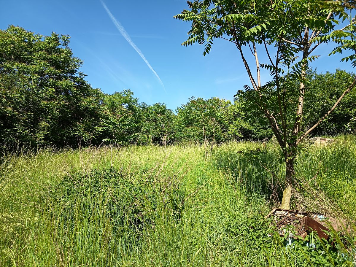 Prodej rodinného domu 140 m², pozemek 24410 m² – fotografie 4