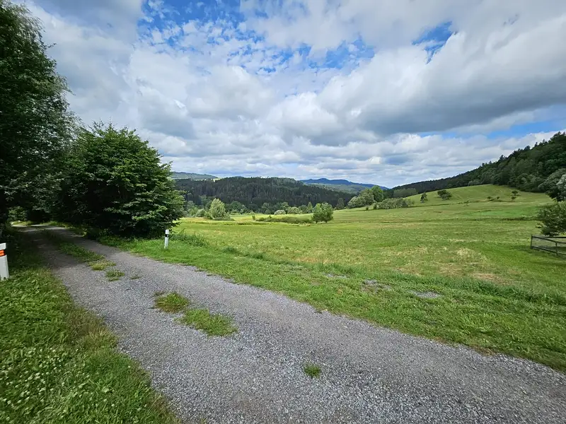 Prodej louky 562199 m², Dolní Dvořiště – náhled fotky 2