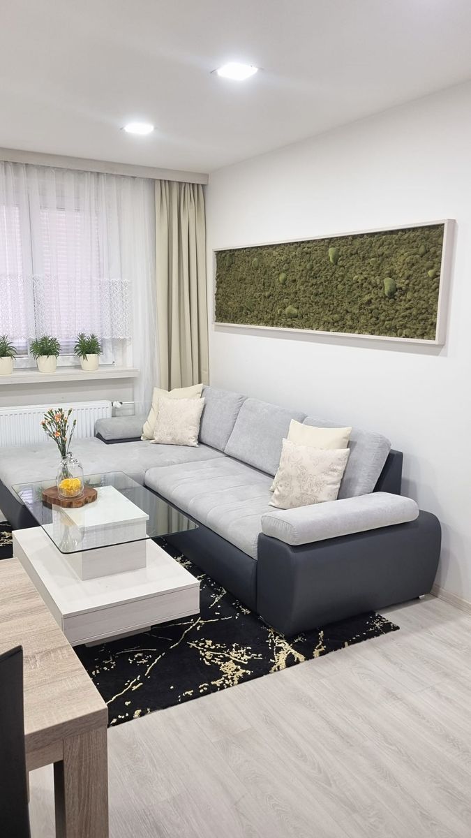 Prodej bytu 3+kk 60 m² – fotografie 4