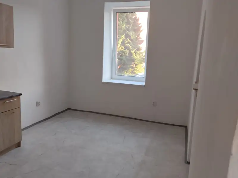 Pronájem bytu 2+1 86 m², Budišov nad Budišovkou – náhled fotky 3