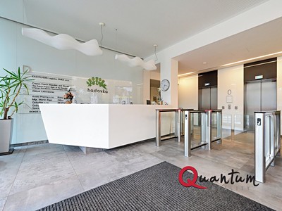 Pronájem kanceláře 503 m²