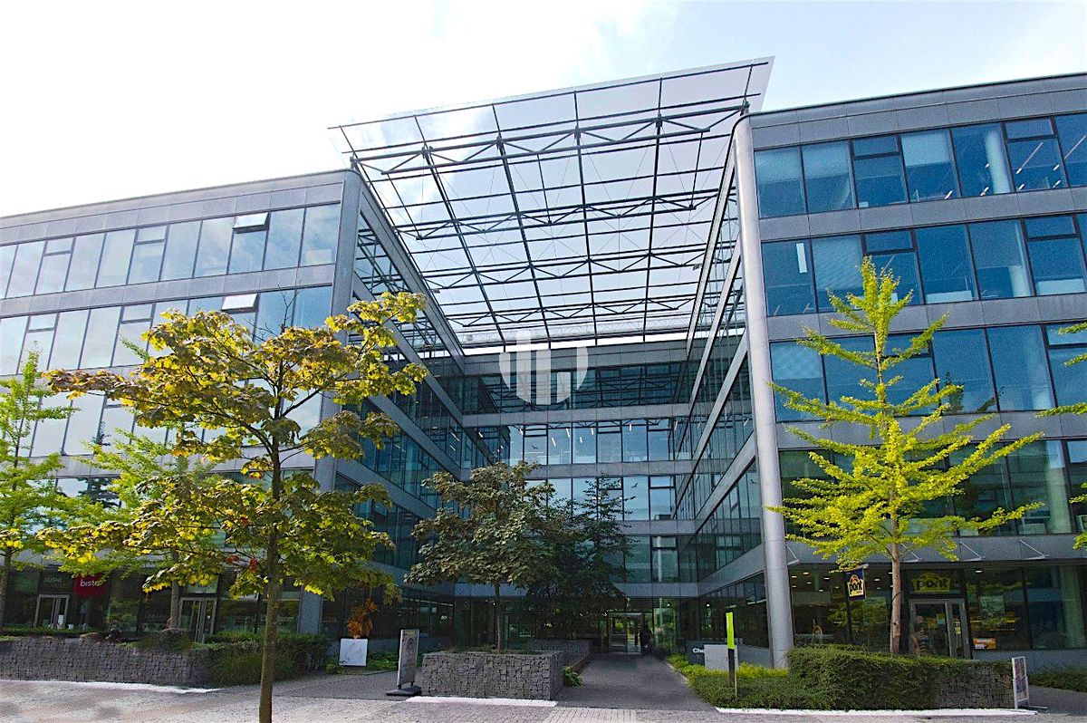 Pronájem kanceláře 200 m²