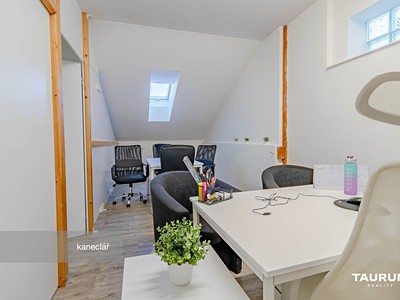 Gewerbefläche zur Miete, 265 m² (3 von 20)