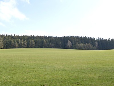 Prodej  lesa 5 237 m²