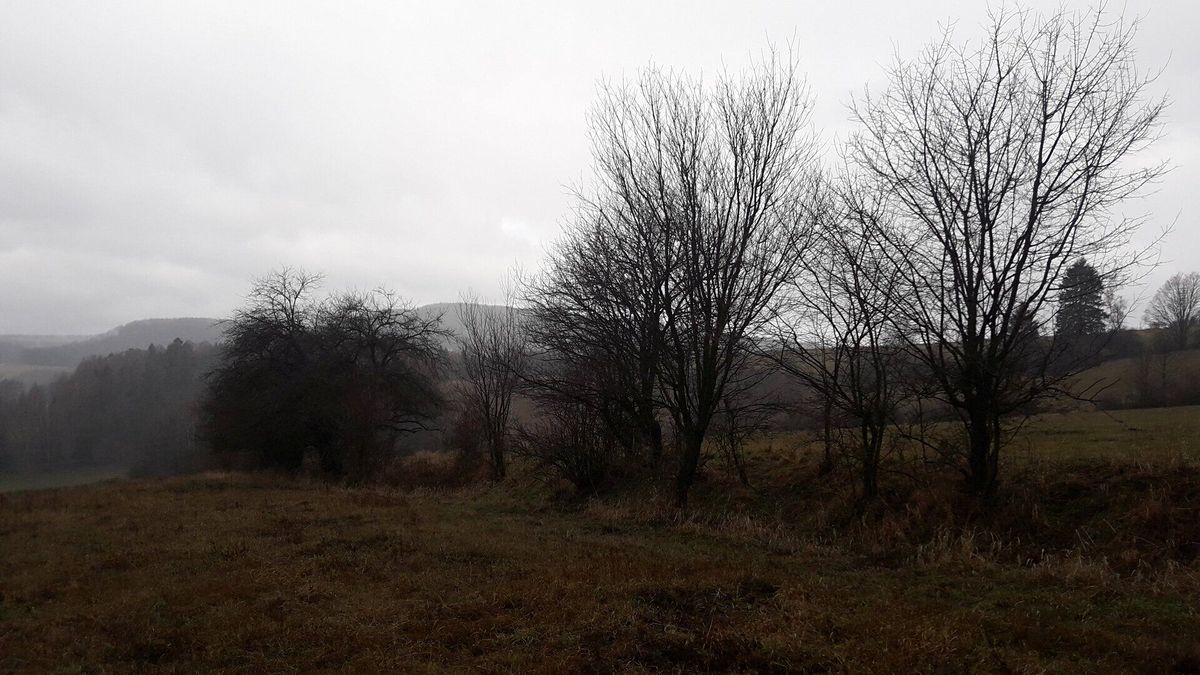 Prodej pole 25028 m² – fotografie 3