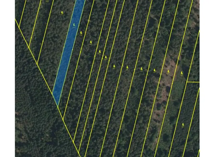 Prodej lesa 32388 m², Třeboň – náhled fotky 1