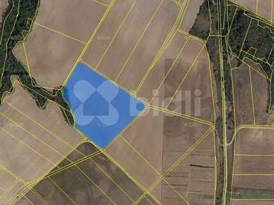 Ділянка на продаж, 37 457 м² (2 з 4)