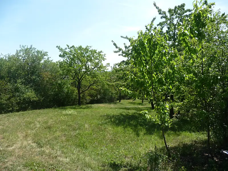 Prodej zahrady 1143 m², Slavkov u Brna – náhled fotky 2