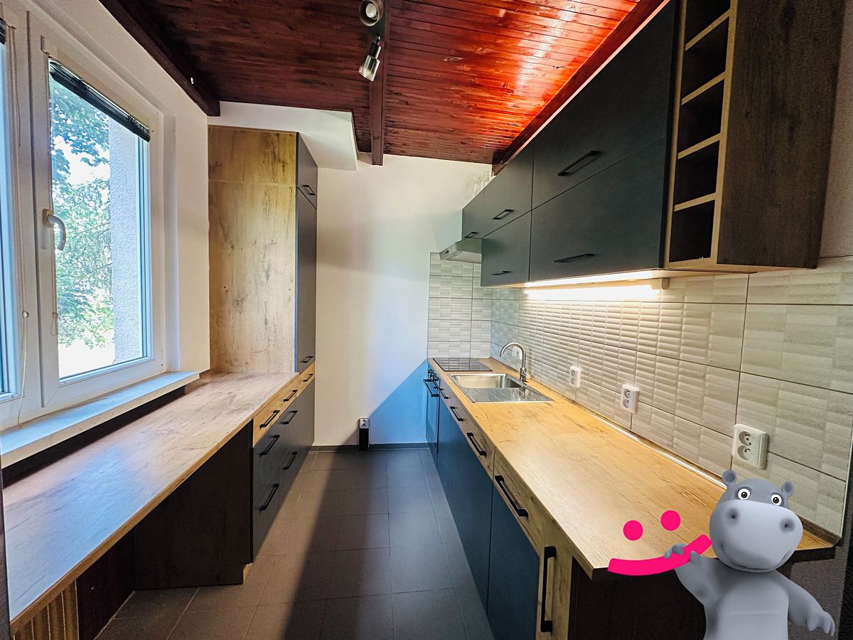 Pronájem bytu 2+1 56 m²