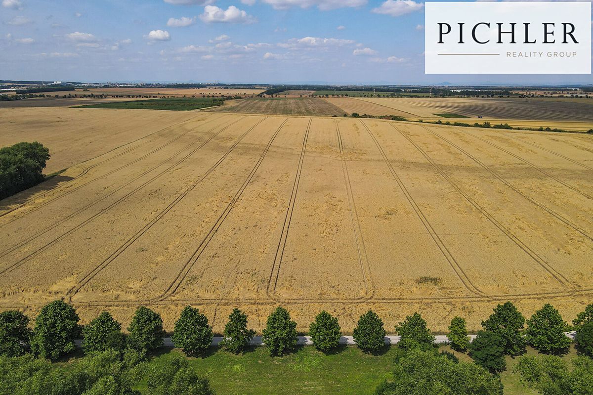 Prodej pole 11096 m² – fotografie 3