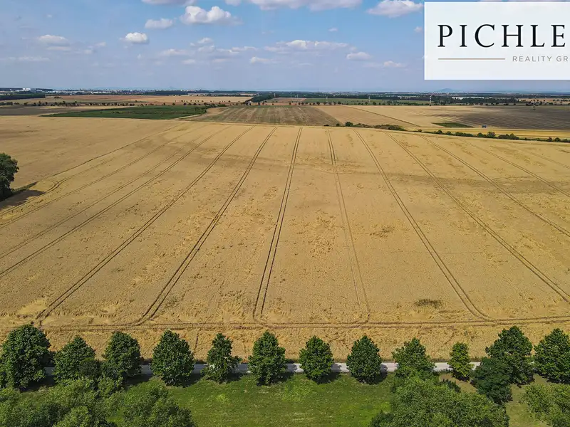 Prodej pole 11096 m², Červený Újezd – náhled fotky 3