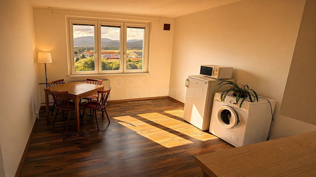 Pronájem bytu 1+1 38 m²