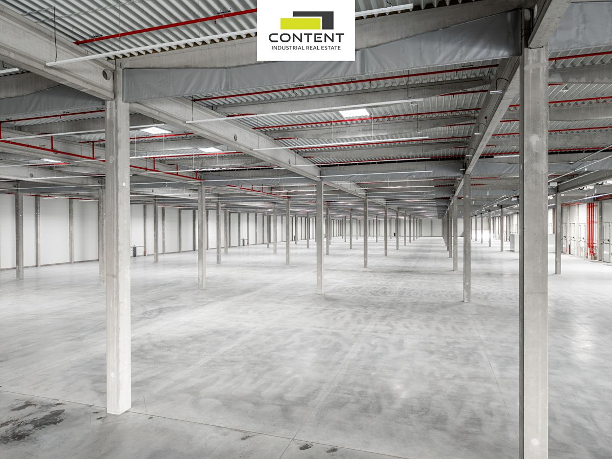 Pronájem výrobní haly, prostoru 10500 m² – fotografie 2