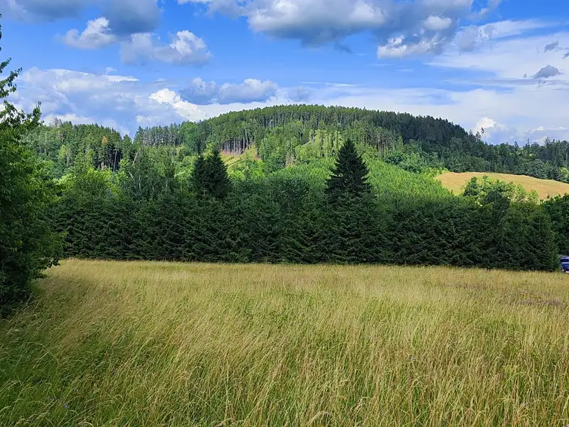 Prodej stavebního pozemku 1437 m², Dolní Lánov – náhled fotky 1