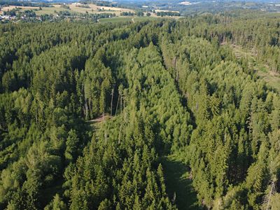 Prodej lesa 48886 m²
