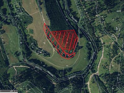 Prodej lesa 10980 m²