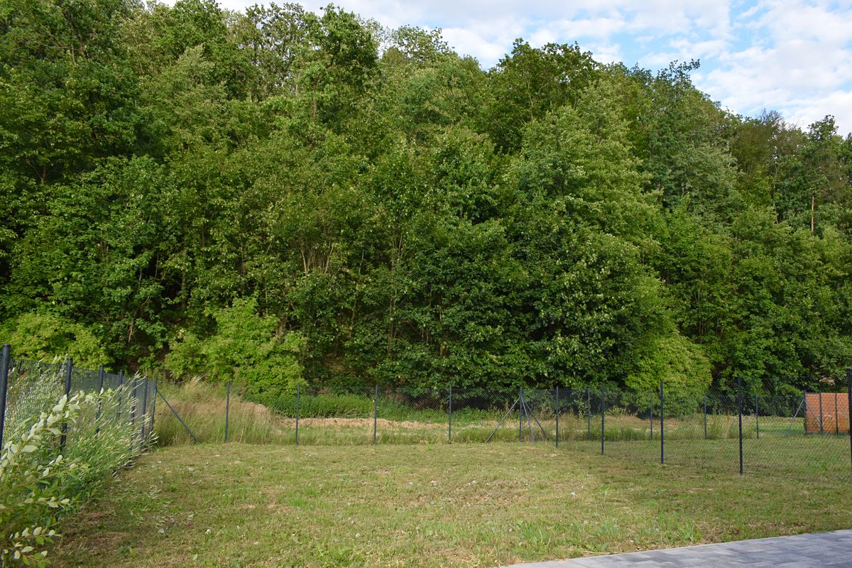 Prodej rodinného domu 113 m², pozemek 483 m² – fotografie 5