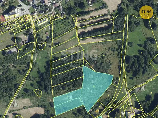 Prodej louky 12302 m², Horní Město – náhled fotky 2