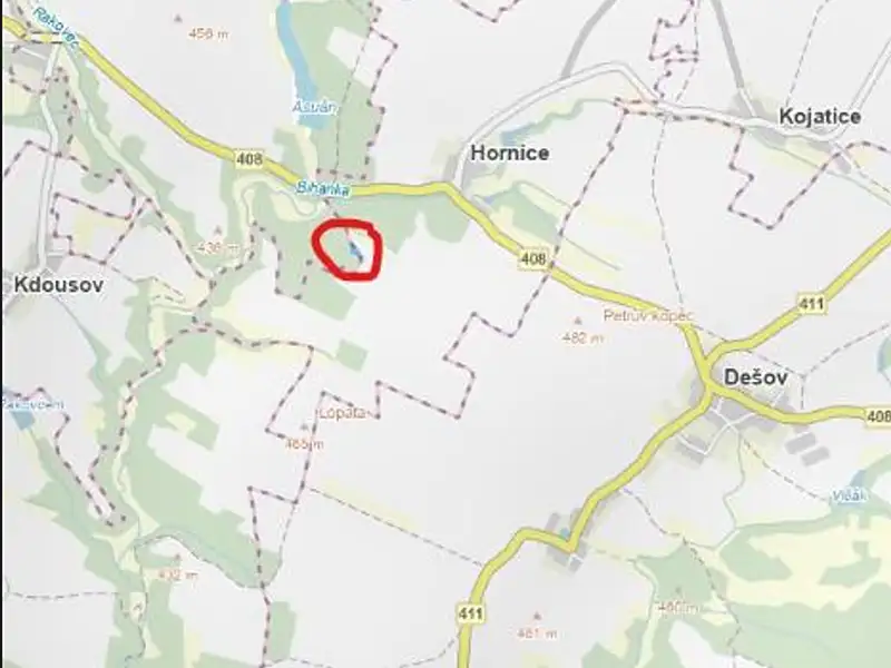 Prodej lesa 2352 m², Mladoňovice – náhled fotky 3
