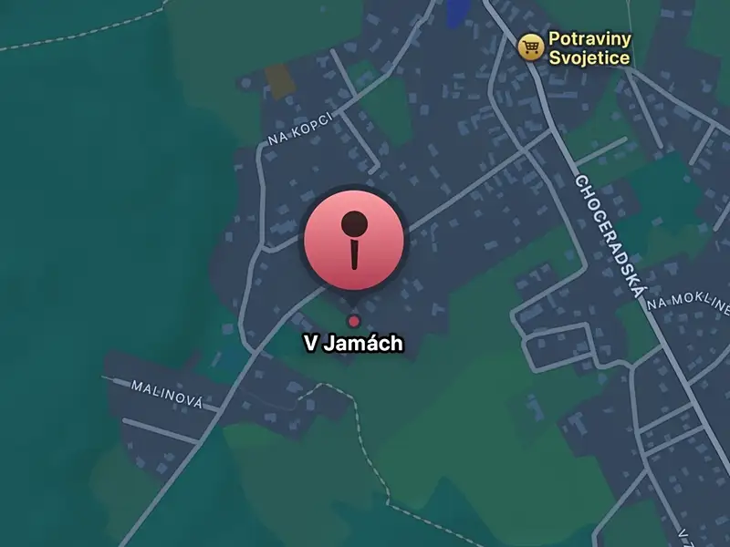 Prodej stavebního pozemku 13429 m², Svojetice – náhled fotky 2