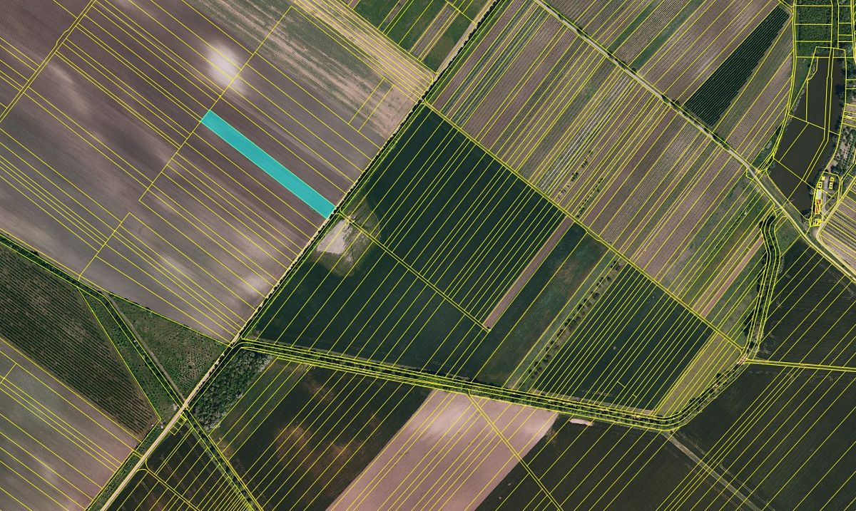 Prodej pole 5826 m² – fotografie 2