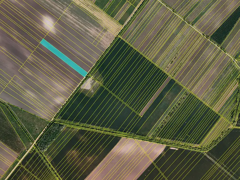 Prodej pole 5826 m², Velké Bílovice – náhled fotky 2