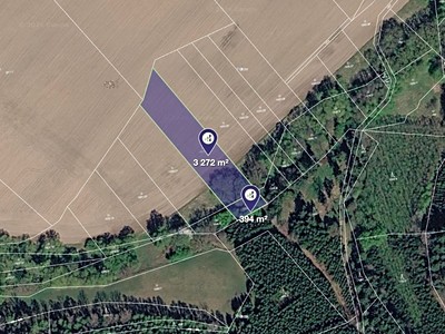 Prodej podílu 3/4  pole 14 014 m²