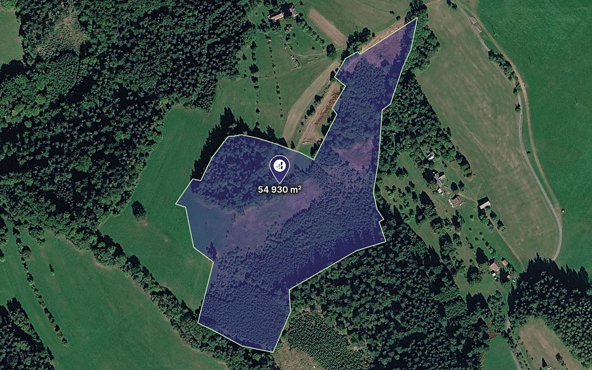 Prodej lesa 54930 m²