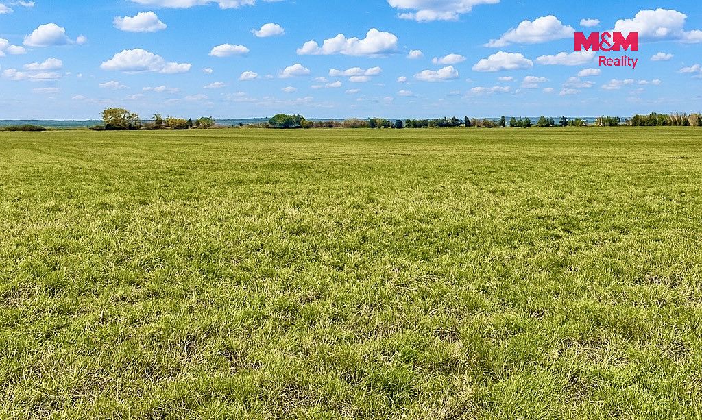 Prodej pole 9779 m² – fotografie 2