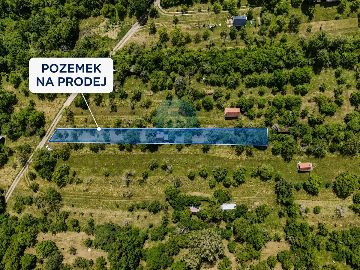 Fotka 10 z 10
