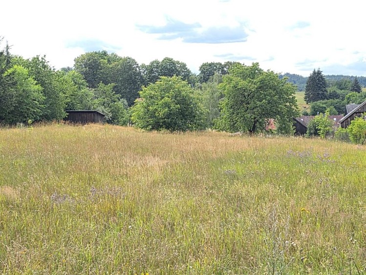 Grundstück zum Kauf, 1.603 m² (1 von 10)