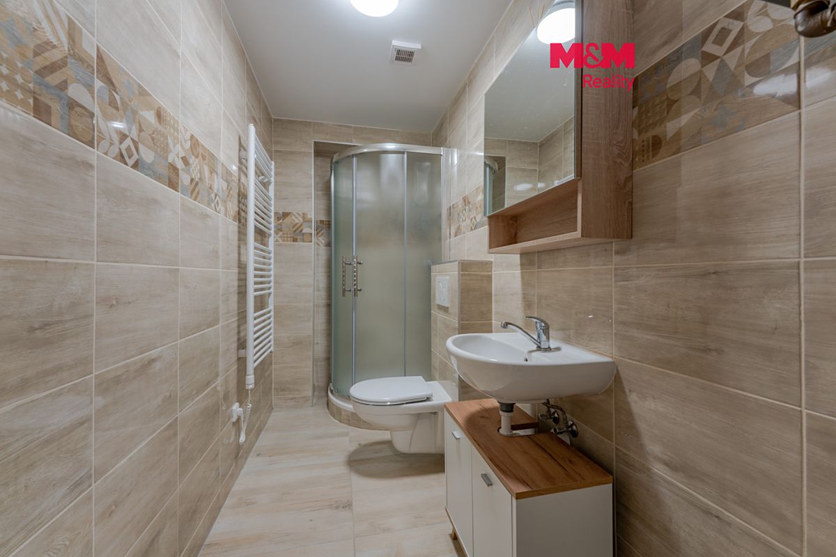 Pronájem bytu 1+1 47 m²