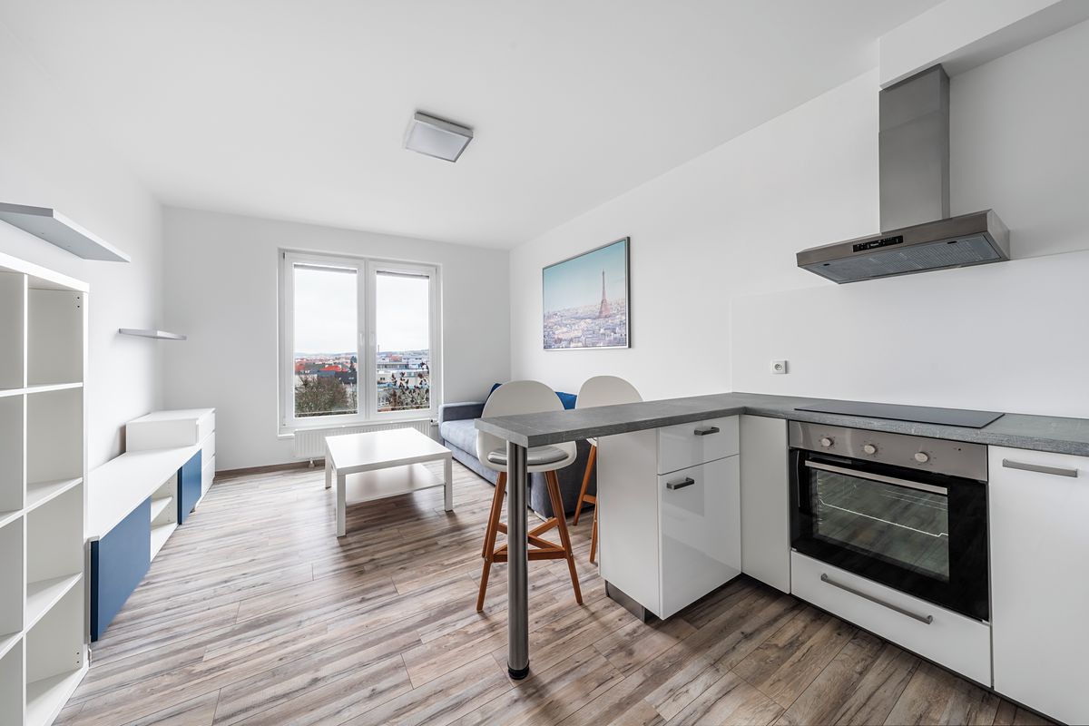 Pronájem bytu 1+kk 29 m²