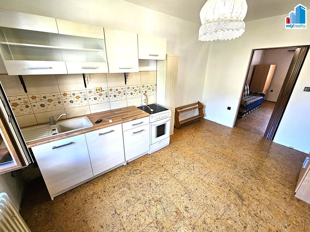Pronájem bytu 1+1 50 m² – fotografie 3