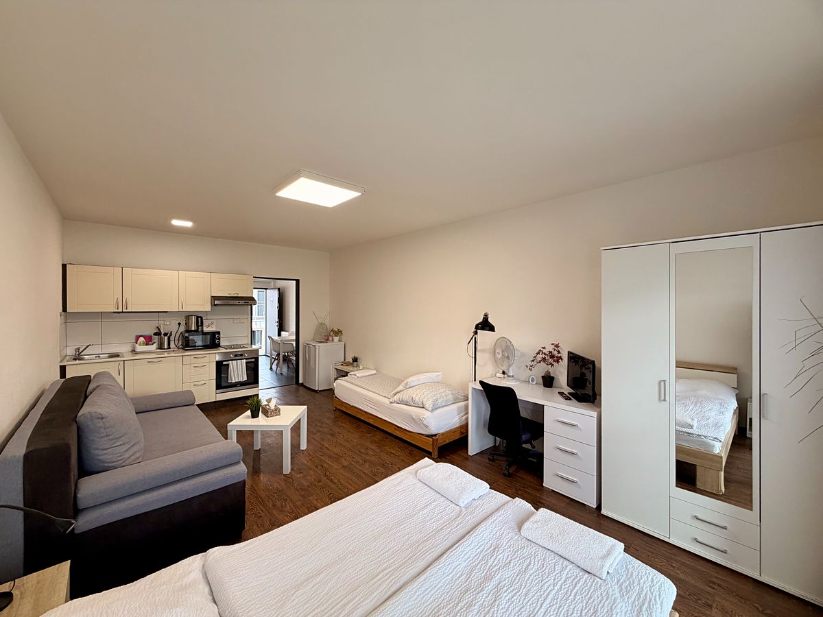Pronájem bytu 1+kk 38 m²
