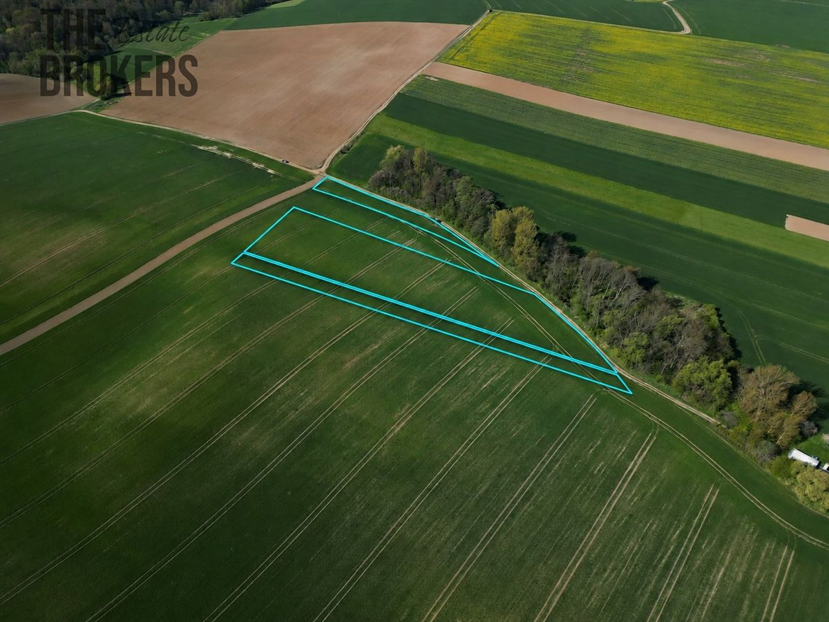 Prodej pole 30796 m² – fotografie 3