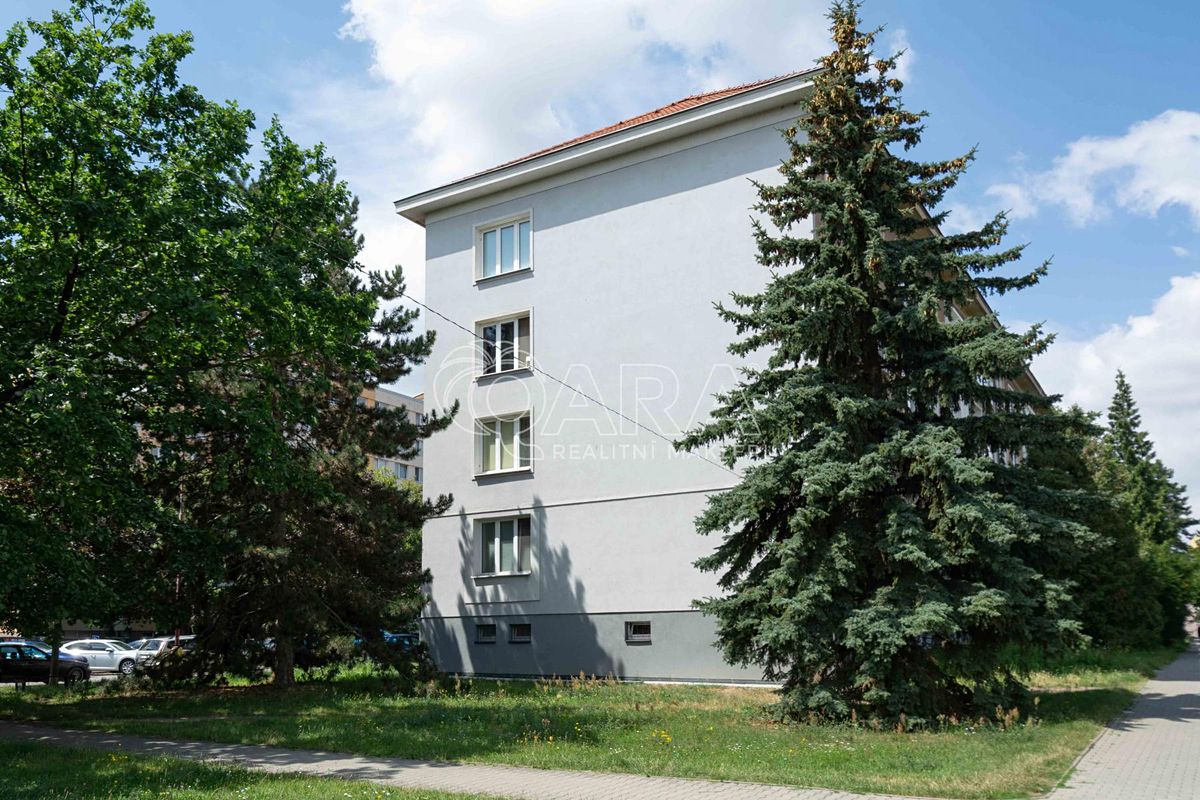 Pronájem bytu 1+1 39 m²