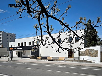 Pronájem nemovitosti, 13 m² (2 z 4)