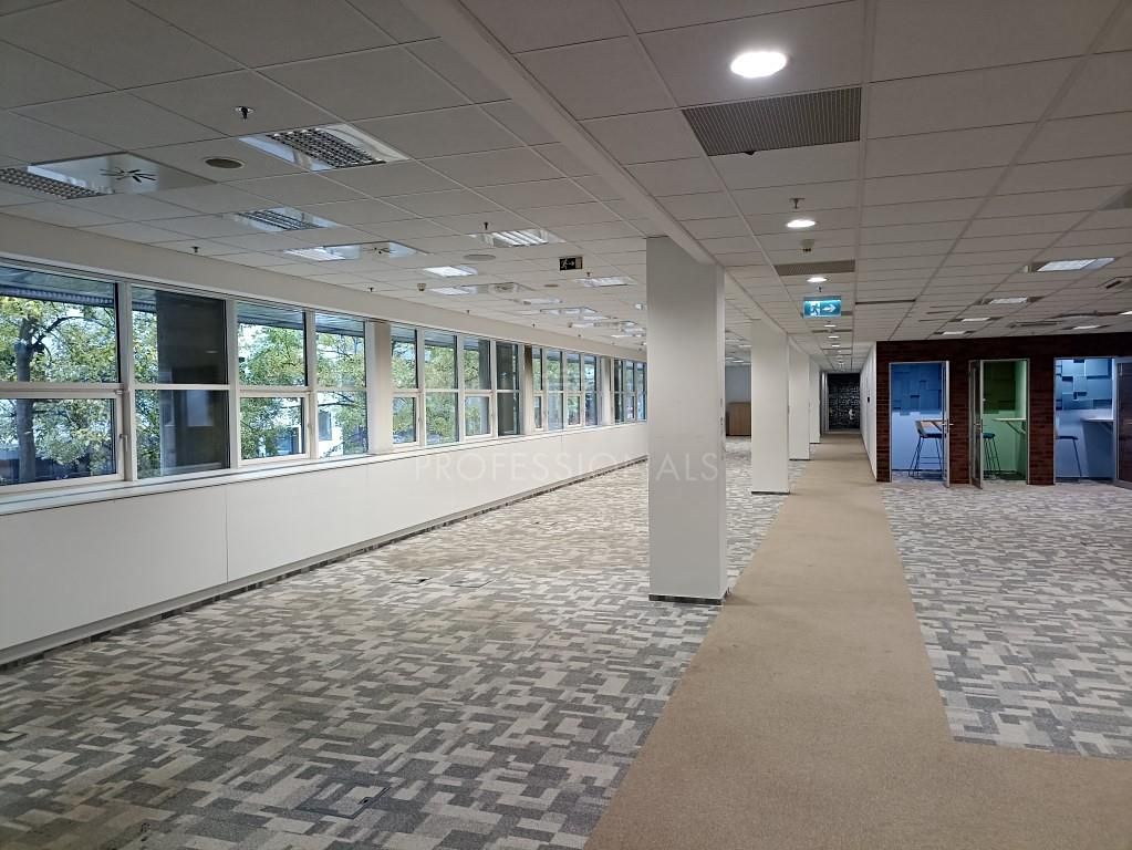 Pronájem kanceláře 364 m² – fotografie 2