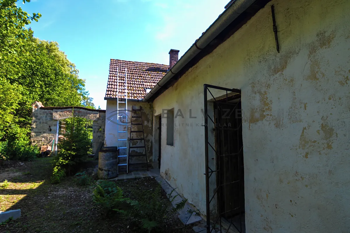 Fotka 12 z 13