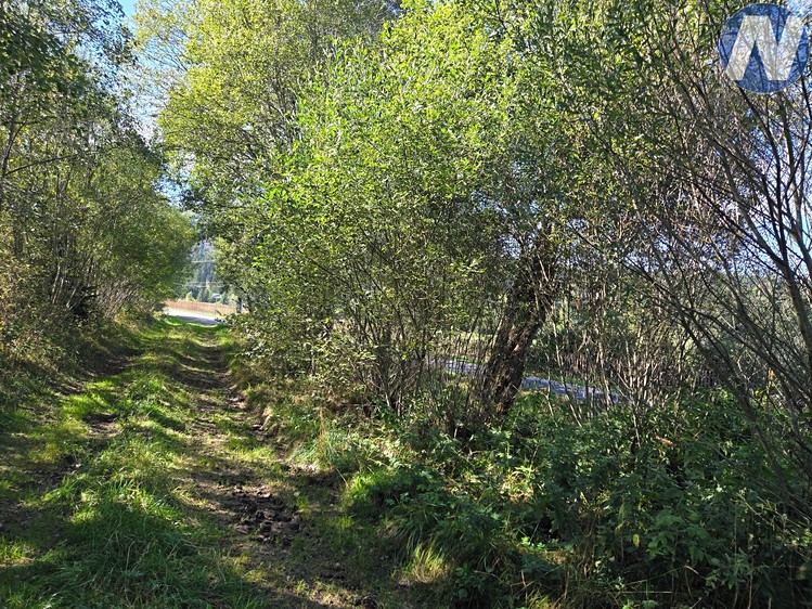 Prodej pozemku, 211 m² (4 z 6)