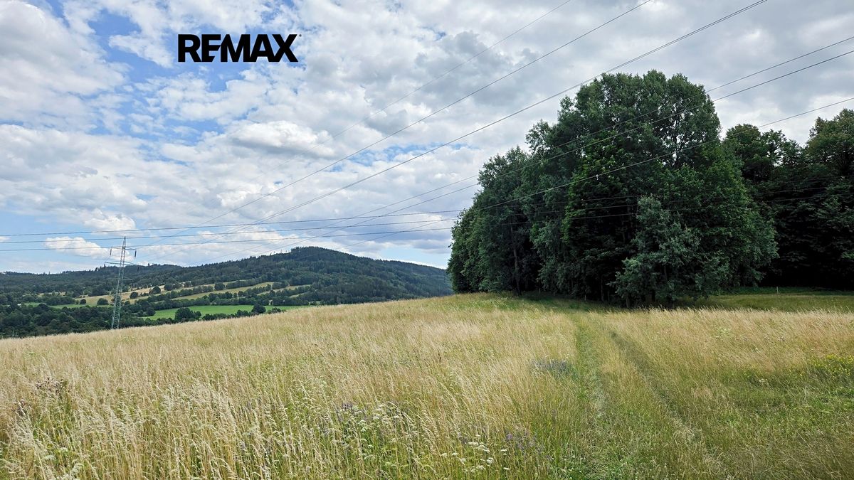 Prodej lesa 26680 m² – fotografie 3