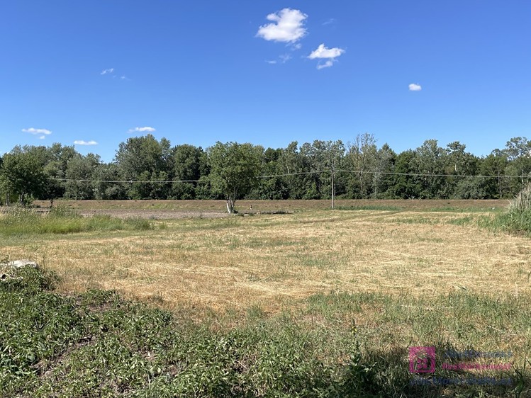 Ділянка на продаж, 4 463 м² (8 з 19)